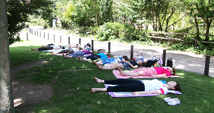 ���b�X���̗l�q